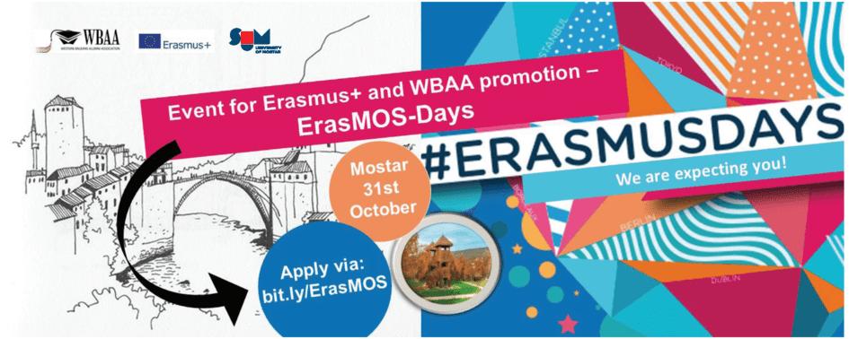 Plakat Erasmus Web